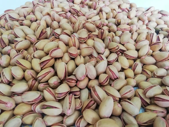 ANA ÇATLAK ANTEP FISTIĞI 500 GR ürün görseli 1