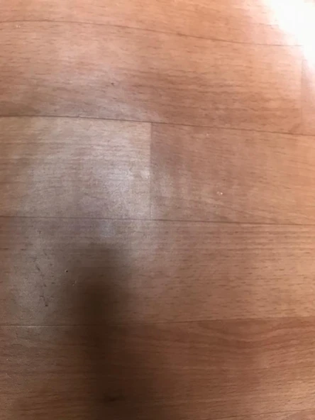 MUŞAMBA 2mx3m PVC ZEMİN KAPLAMA YER DÖŞEMESİ ürün görseli 1