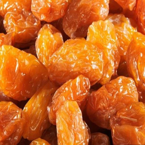 TAZE SARI ERİK KURUSU 1KG ÇEKİRDEKLİ 1. KALİTE MAYHOŞ ürün görseli 1