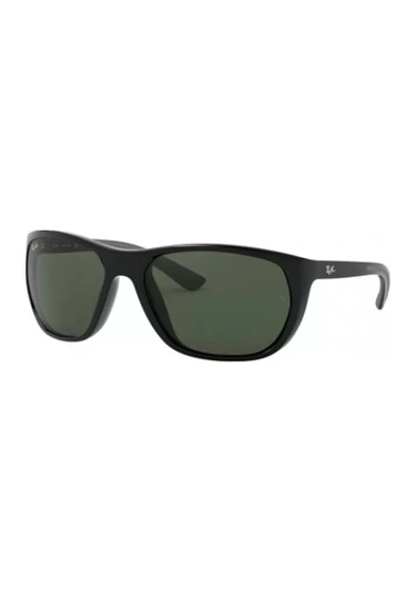 Ray-Ban 4307 Erkek Güneş Gözlüğü ürün görseli 1