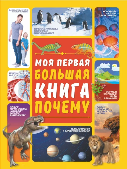 Моя первая большая книга почему  (6 ve üzeri yaş Çocuklar için RUSÇA ÇOCUK ANSIKLOPEDİSİ KİTABI) ürün görseli 1