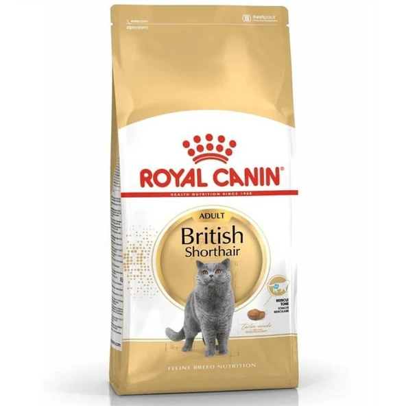 Royal Canin British Shorthair Adult Yetişkin Kedi Maması 4 Kg ürün görseli 1