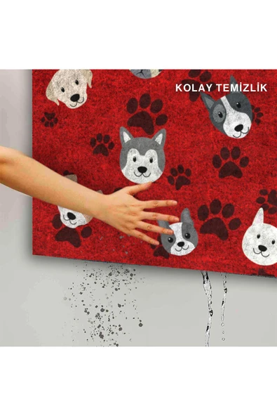 Dekoratif Kapı Önü Paspası - Kaymaz Taban (218) - Resim 5