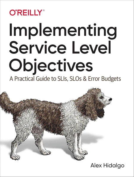 Implementing Service Level Objectives: A Practical Guide to SLIs, SLOs, and Error Budgets Alex Hidalgo ürün görseli 1