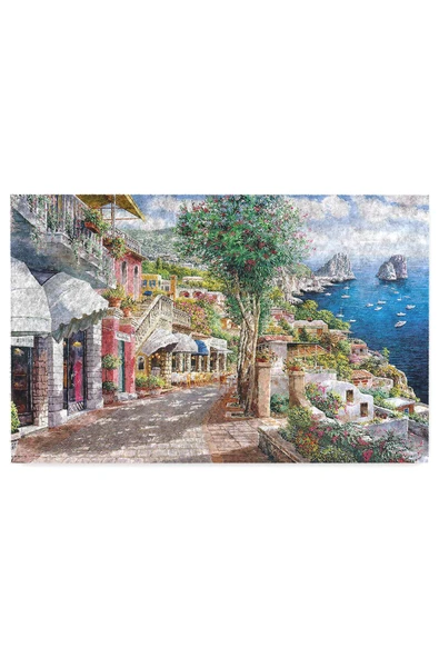 Dekoratif Kapı Önü Paspası - Kaymaz Taban (193) - Resim 3