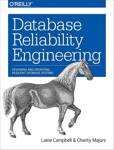 Database Reliability Engineering: Designing and Operating Resilient Database Systems Campbell Majors ürün görseli 1