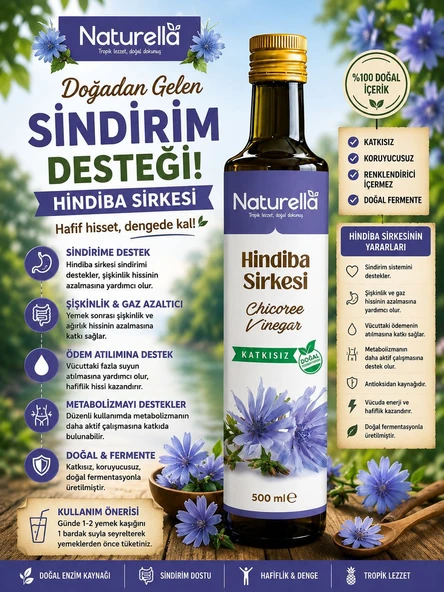 NATURELLA HİNDİBA SİRKESİ - Resim 2