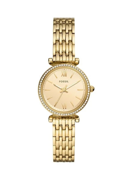 Fossil FES5309 Kadın Kol Saati ürün görseli 1