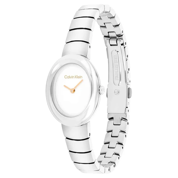 Calvin Klein CK25100149 Kadın Kol Saati - Resim 3