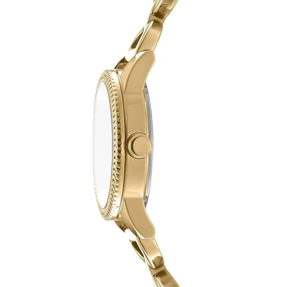 Dkny DK1L113M0245 Kadın Kol Saati - Resim 2