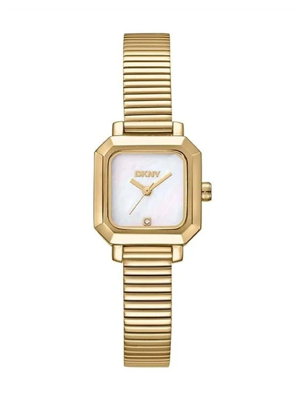 Dkny DK1L123M0035 Kadın Kol Saati ürün görseli 1