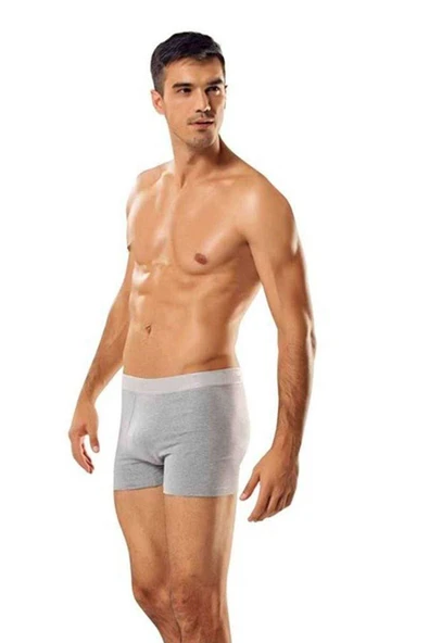 3 adet Tutku Likralı Erkek Gri Boxer 0114 ürün görseli 1
