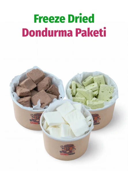Freeze Dried Dondurma Paketi 3'lü – Çikolatalı Antep Fıstıklı Sade Kurutulmuş Çıtır Dondurma Seti ürün görseli 1