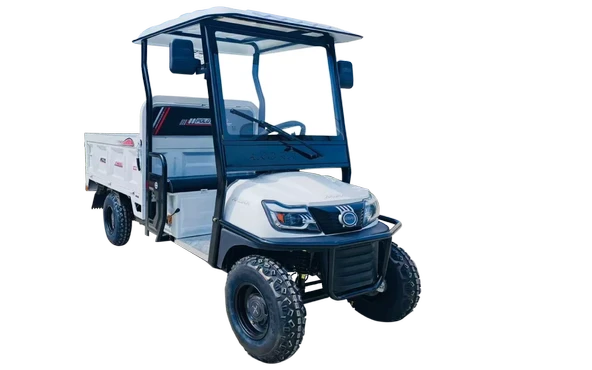 Arora Polo Farm New 2000W Kasalı Elektrikli Motosiklet ürün görseli 1