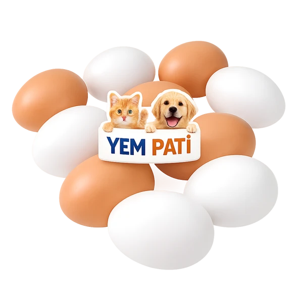 PLASTİK YUMURTA FOLLUK İÇİNN 10 ADET ürün görseli 1