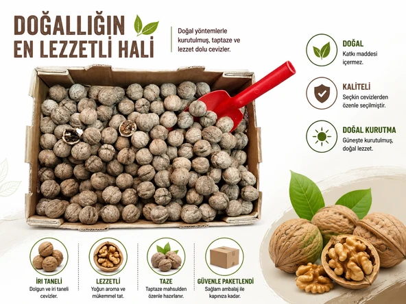 Yerli Ata Tohumu Topak Cinsi Yağlı Kabuklu Ceviz ürün görseli 1