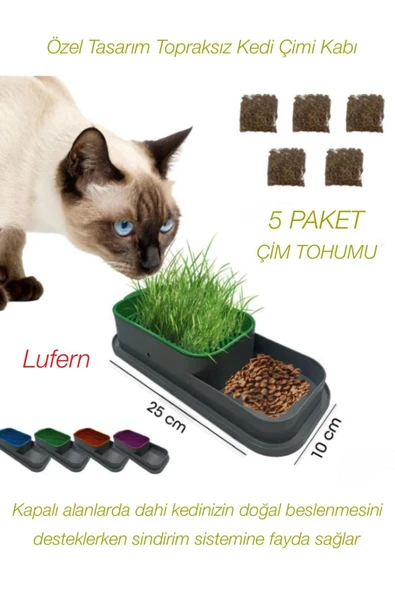 Özel Tasarım Topraksız Kedi Çimi Kabı Hidroponik Sistem Doğal Lif Çim Tohumu Yer Kaplamaz 25x10 cm ürün görseli 1