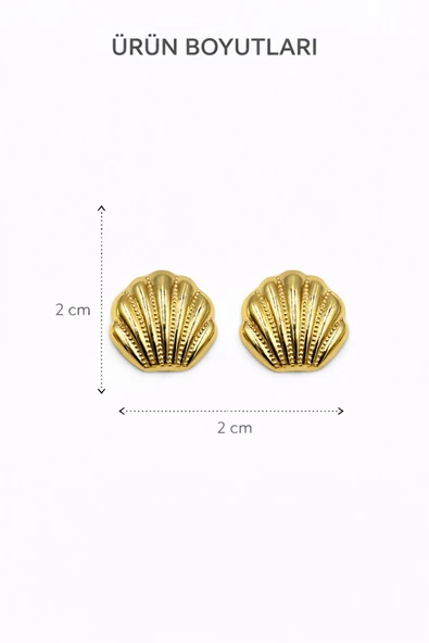Shell Gold Çivi Küpe - Resim 3