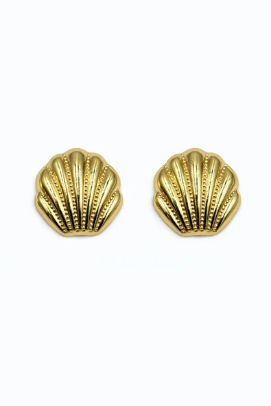 Shell Gold Çivi Küpe - Resim 2