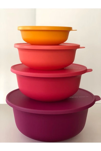 Tupperware Aloha 4 Lü Set ürün görseli 1