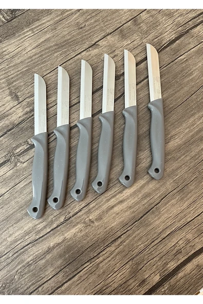 RS STORE SOLİNGEN 6 LI MEYVE BIÇAĞI DELİKLİ GRİ ürün görseli 1