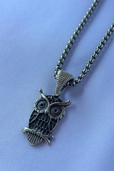 Begondio Baykuş Figürlü El İşçiliği Paslanmaz Çelik Zincir Erkek Kolye ürün görseli 1