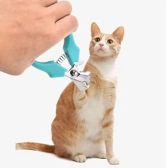Yaylı Kedi Ve Küçük Irk Köpek Tırnak Makası ürün görseli 1
