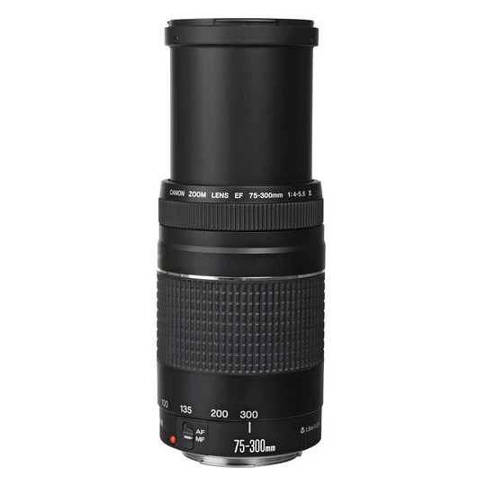 Canon EF 75-300mm F/4.0-5.6 III Lens ürün görseli 1