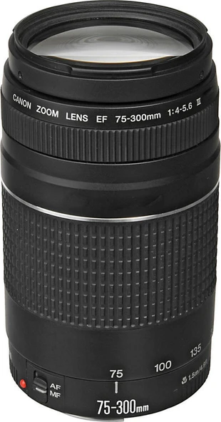 Canon EF 75-300 III USM 35mm Lens - Resim 4