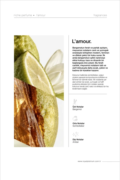 LAMOUR 100 ML NICHE PARFÜM - Resim 4