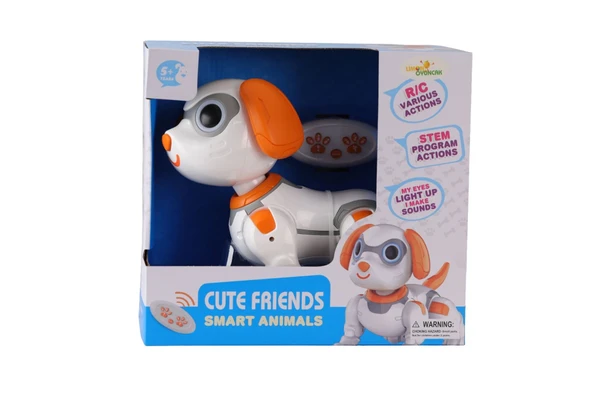 8324B UZAKTAN KUMANDALI ROBOT ürün görseli 1