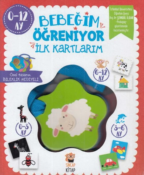 Bebeğim Öğreniyor - İlk Kartlarım (0 - 12 Ay) ürün görseli 1