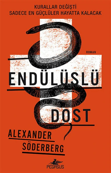 Endülüslü Dost ürün görseli 1