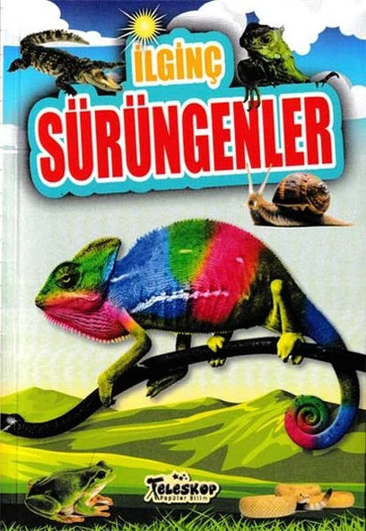 İlginç Sürüngenler - İlginç Bilgiler Serisi ürün görseli 1