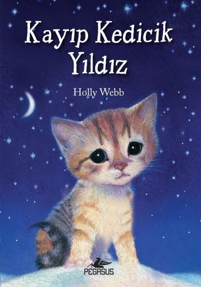 Kayıp Kedicik Yıldız ürün görseli 1