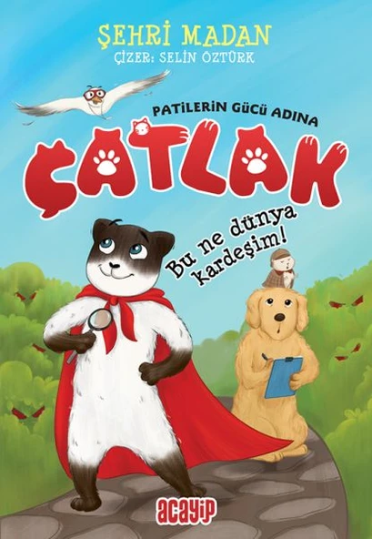 Bu Ne Dünya Kardeşim! - Çatlak - Patilerin Gücü Adına ürün görseli 1
