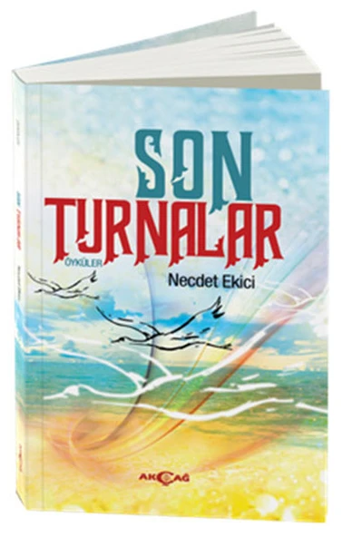 Son Turnalar ürün görseli 1