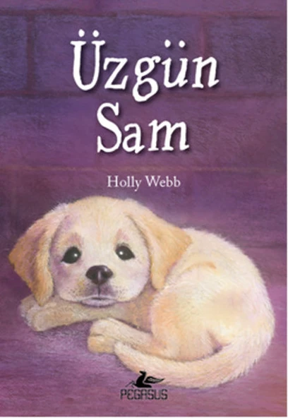 Üzgün Sam ürün görseli 1
