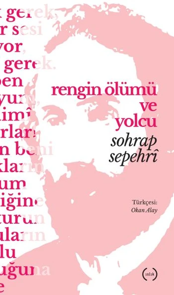 Rengin Ölümü ve Yolcu ürün görseli 1