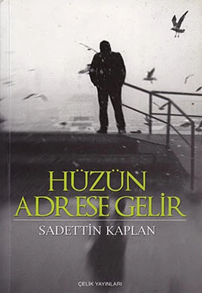 Hüzün Adrese Gelir ürün görseli 1