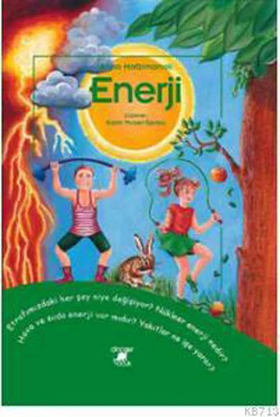 Enerji ürün görseli 1