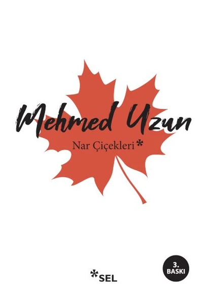 Nar Çiçekleri: Çokkültürlülük Üstüne Denemeler ürün görseli 1