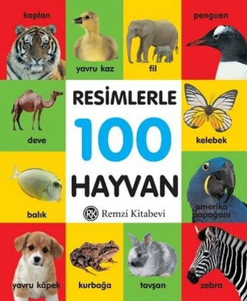 Resimlerle 100 Hayvan (Küçük Boy Ciltli) ürün görseli 1