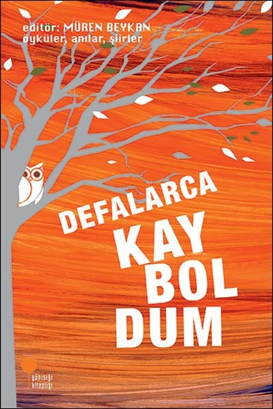 Defalarca Kayboldum ürün görseli 1