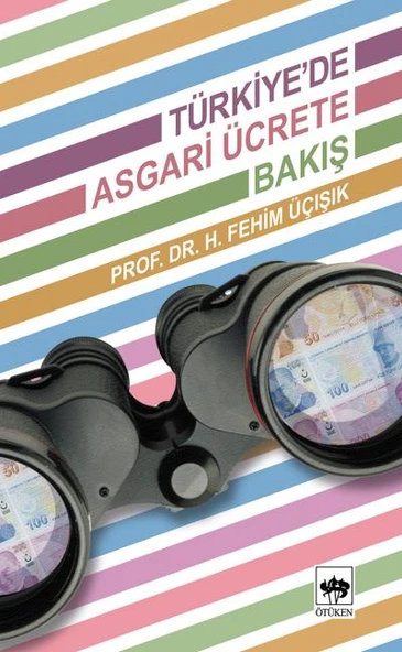 Türkiye'de Asgari Ücrete Bakış ürün görseli 1