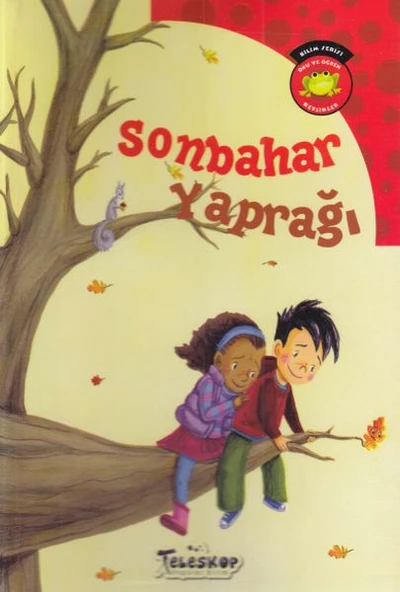 Bilim Serisi Oku ve Öğren Mevsimler - Sonbahar yaprağı ürün görseli 1