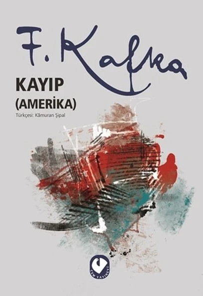 Kayıp (Amerika) ürün görseli 1
