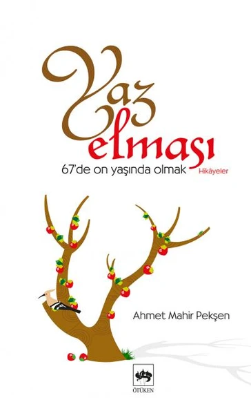 Yaz Elması  67'de On Yaşında Olmak ürün görseli 1