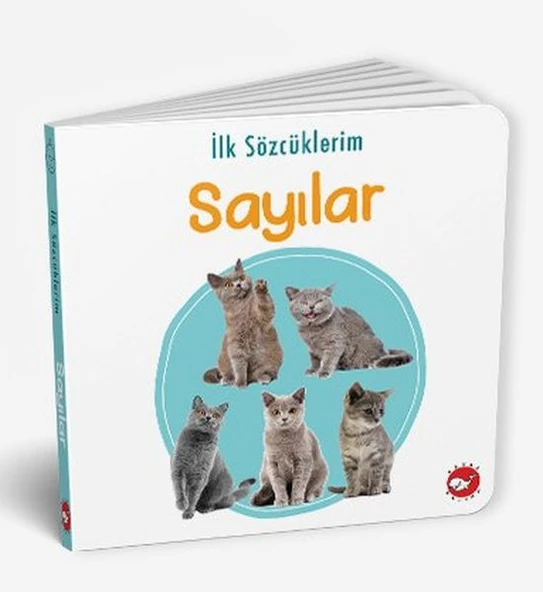 İlk Sözcüklerim - Sayılar ürün görseli 1