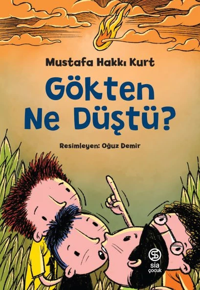 Gökten Ne Düştü? ürün görseli 1